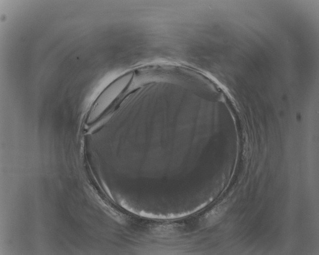 X0000066111367200603312040