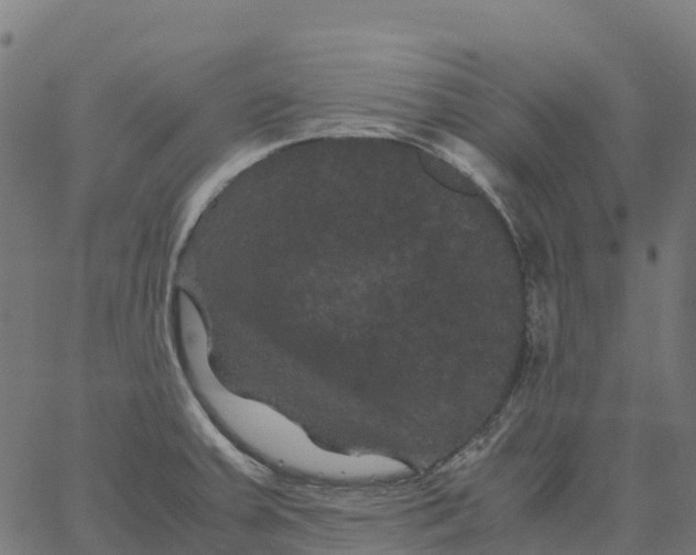 X0000066111379200603312039