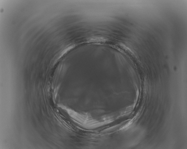 X0000066111401200603312038