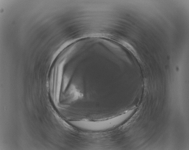 X0000066111428200603312039
