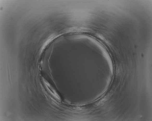 X0000066111459200603312038