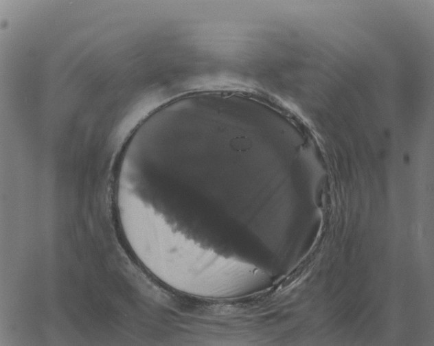 X0000066111463200603312038
