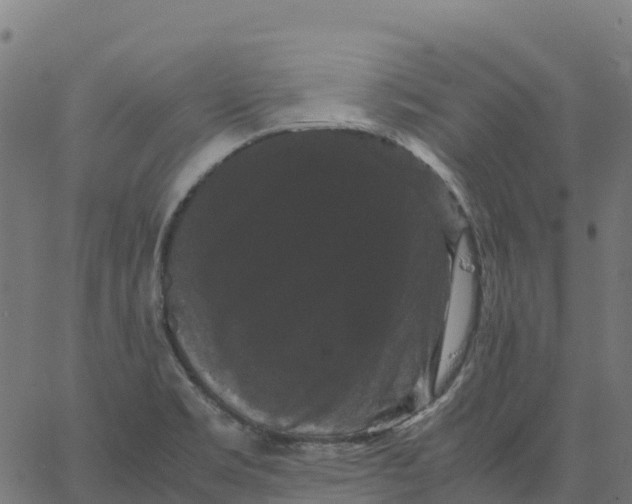 X0000066111469200603312038