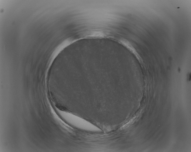 X0000066111475200603312038