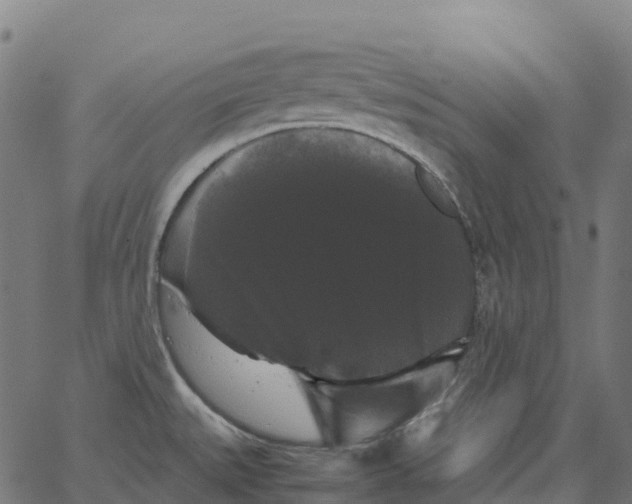 X0000066111527200603312037