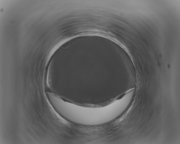 X0000066111533200603312038
