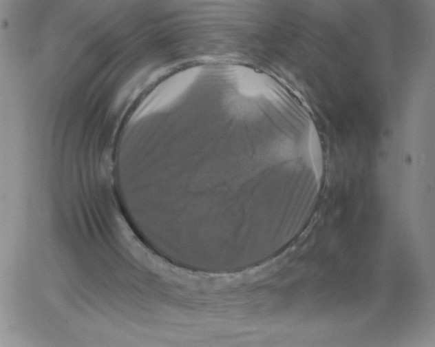 X0000066110002200604071859