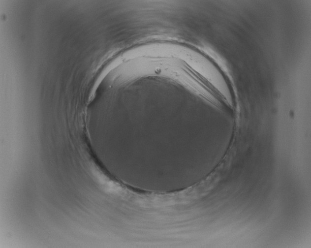 X0000066110009200604071858
