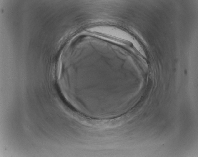 X0000066110023200604071858