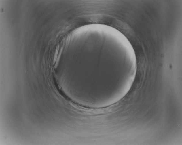 X0000066110031200604071858