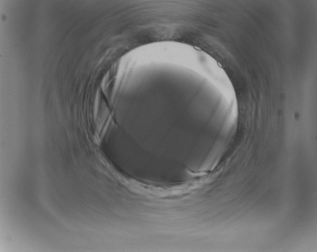 X0000066110035200604071858