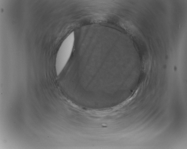 X0000066110041200604071858
