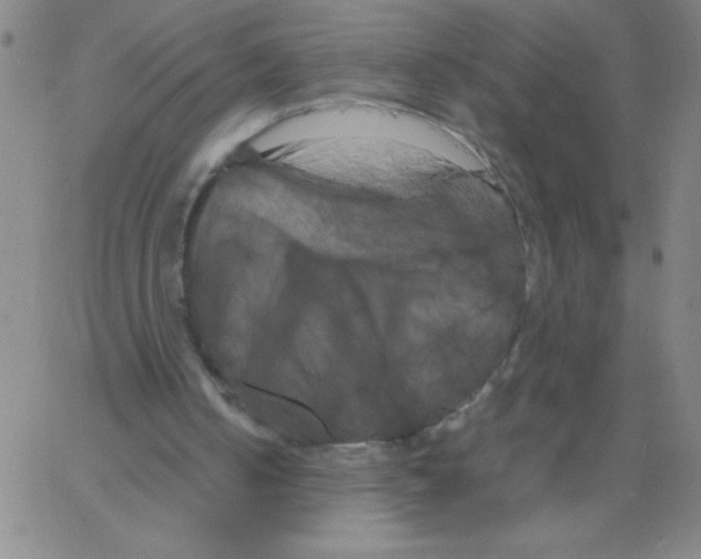 X0000066110050200604071857