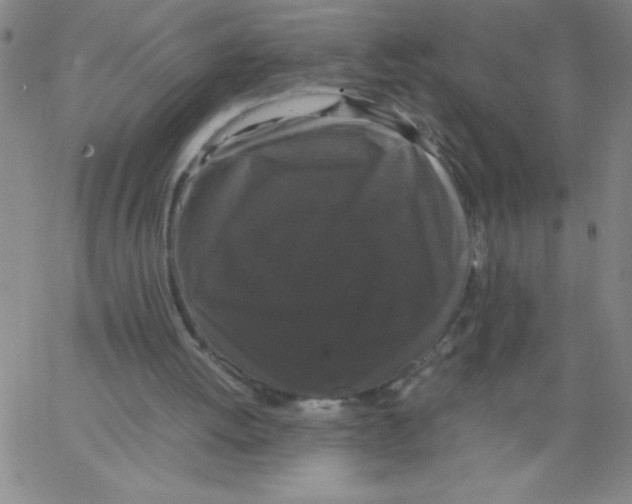 X0000066110052200604071857