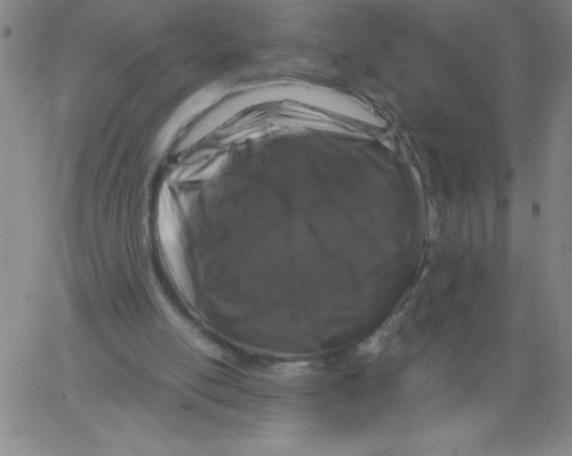X0000066110054200604071857