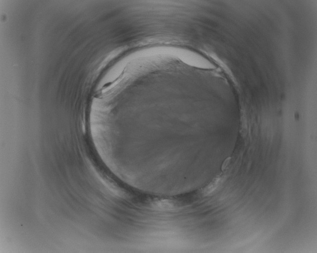 X0000066110062200604071857