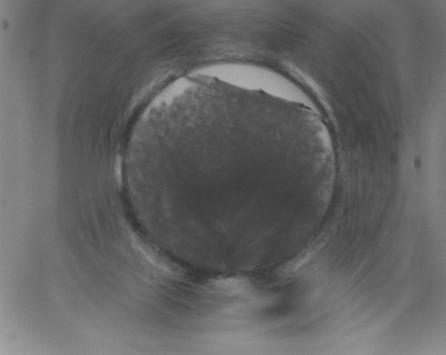 X0000066110067200604071857