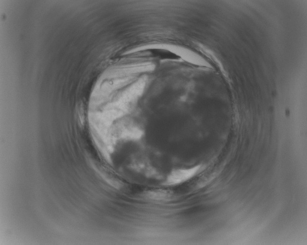 X0000066110069200604071857