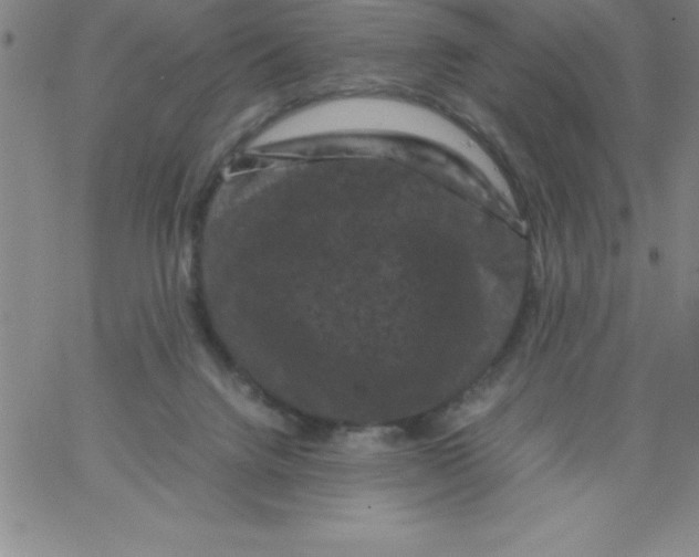 X0000066110072200604071857