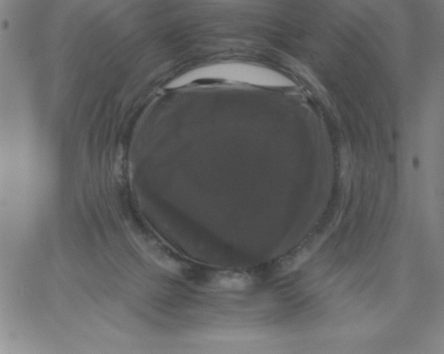 X0000066110073200604071857