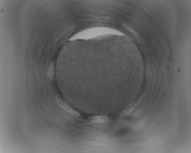X0000066110077200604071857