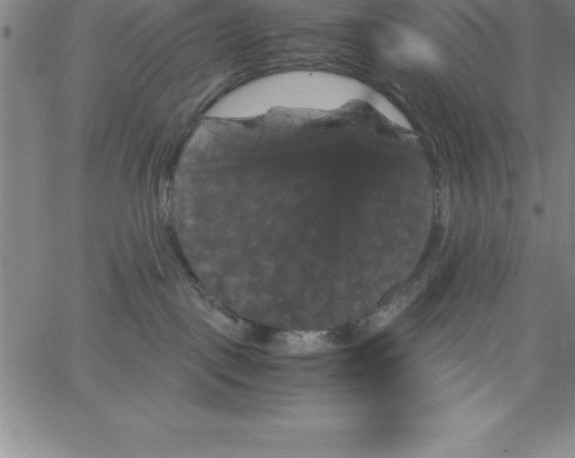 X0000066110093200604071858