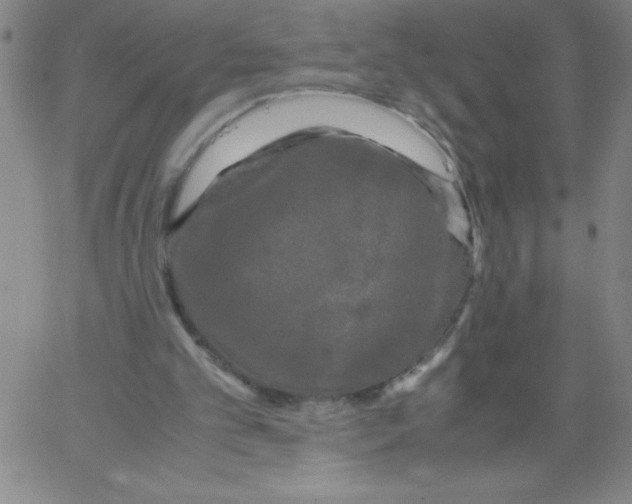 X0000066110101200604071857