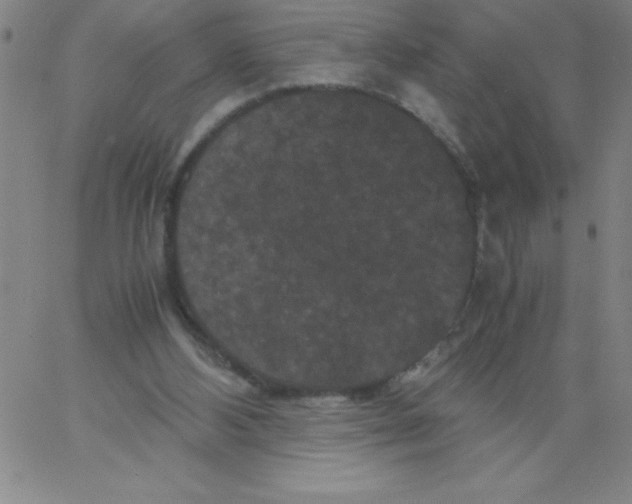 X0000066110108200604071857