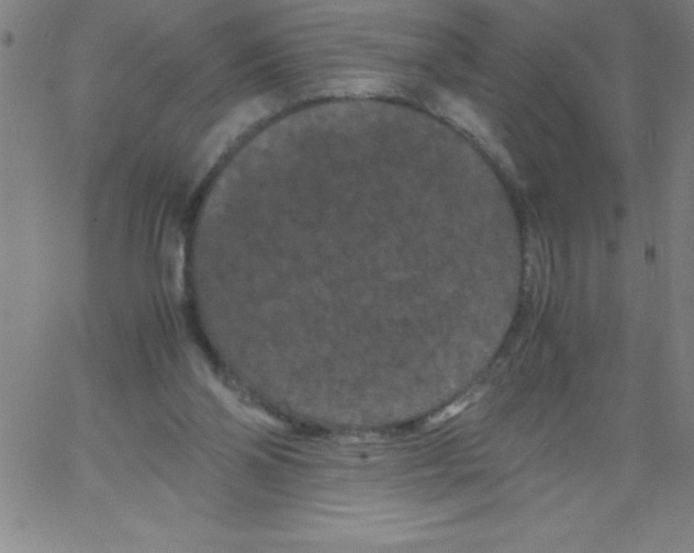 X0000066110110200604071857