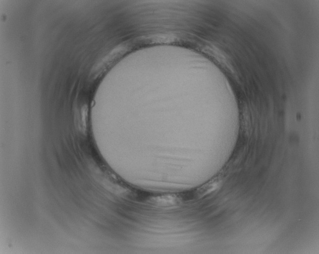 X0000066110118200604071857