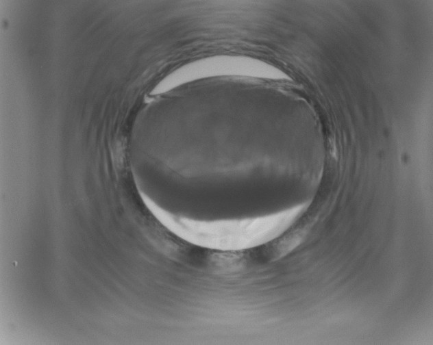 X0000066110139200604071856