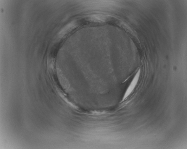 X0000066110141200604071856