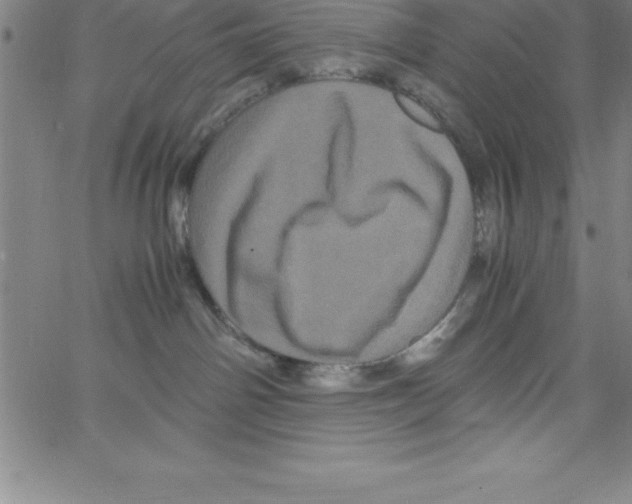X0000066110142200604071856