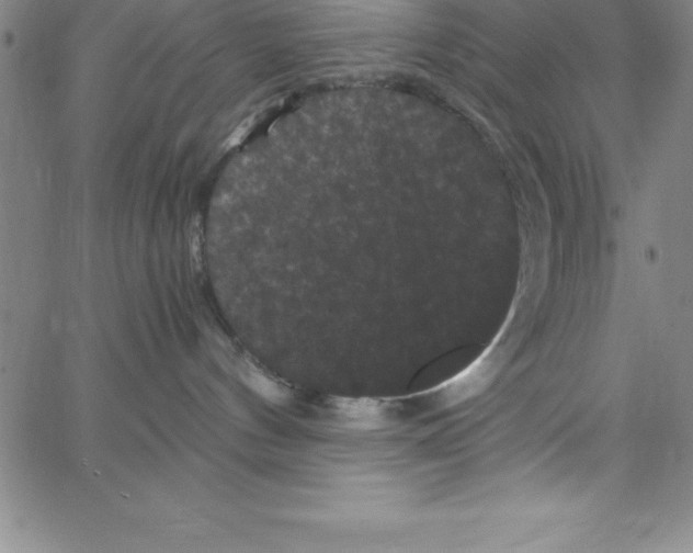 X0000066110144200604071856