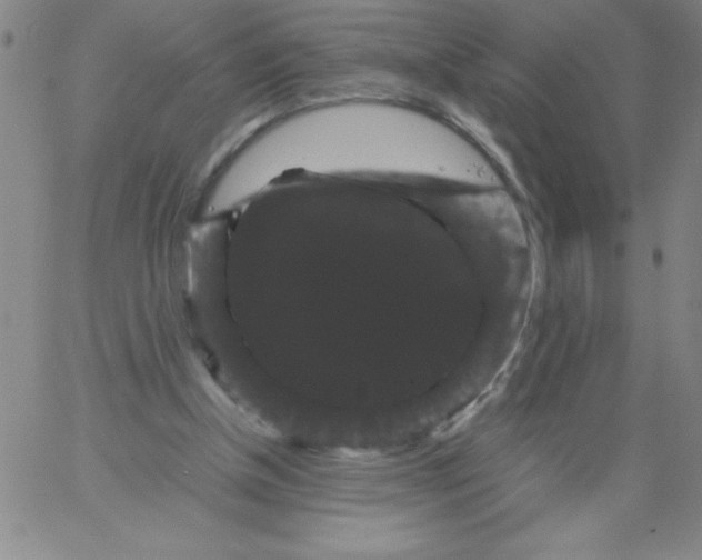 X0000066110154200604071856