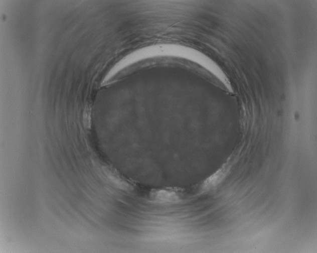 X0000066110180200604071856
