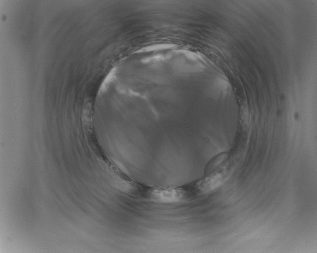 X0000066110181200604071856