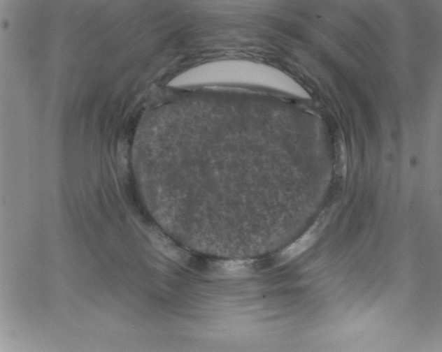 X0000066110184200604071856