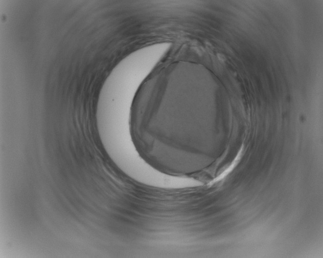 X0000066110186200604071856