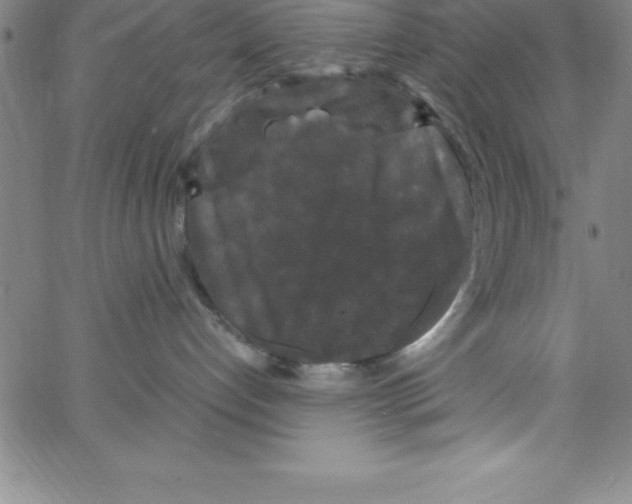 X0000066110192200604071856
