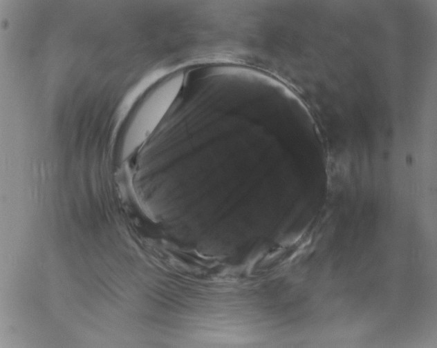 X0000066110200200604071855