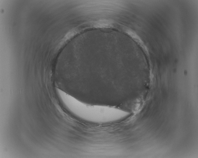 X0000066110201200604071855