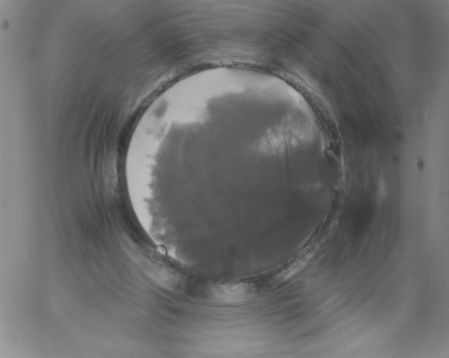 X0000066110202200604071855