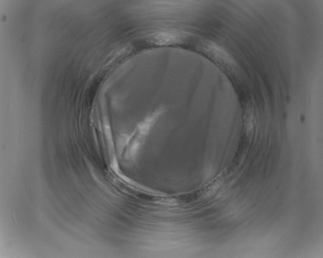 X0000066110214200604071855
