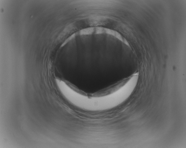 X0000066110219200604071855