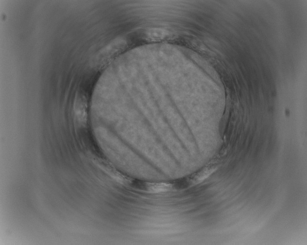X0000066110226200604071855