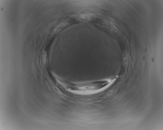 X0000066110231200604071855