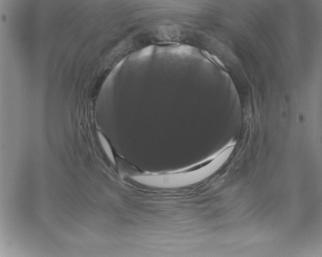 X0000066110233200604071855