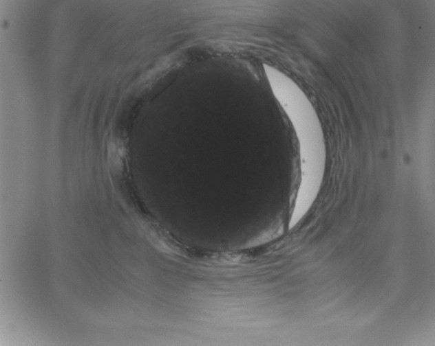 X0000066110235200604071855