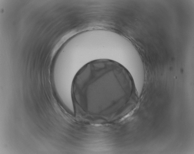 X0000066110244200604071854